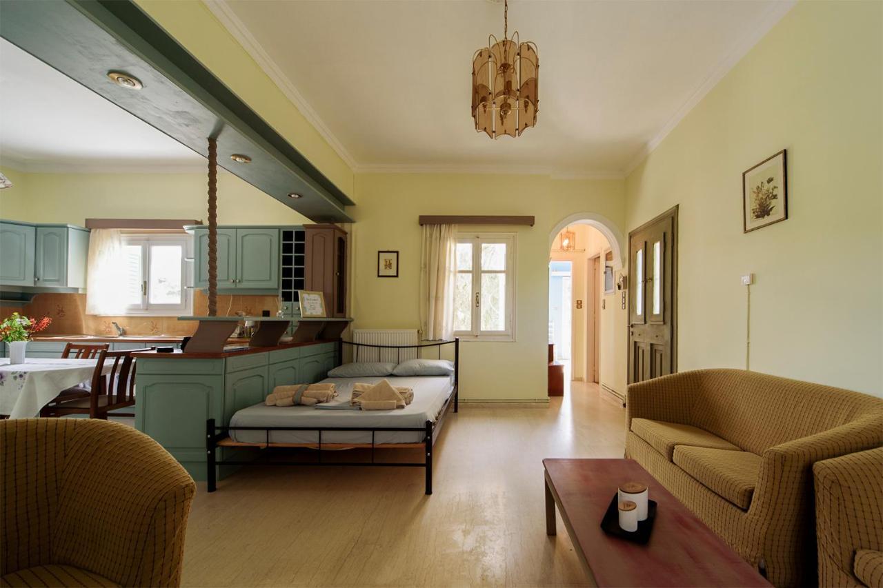 Mother'S House In Syros Aegean Sea Posidhonia  Экстерьер фото